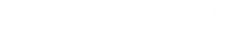 Brandspace Logo 